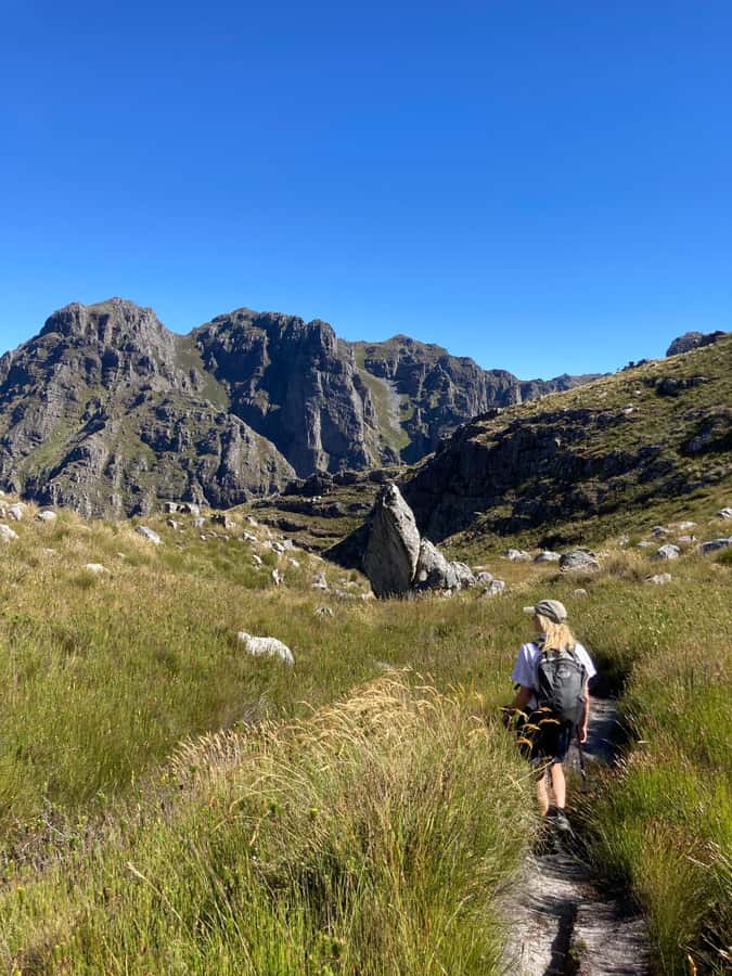 Jonkershoek Nature Reserve: Guided Panorama Trail Hike - Why the Jonkershoek Panorama Trail feels like a top day hike