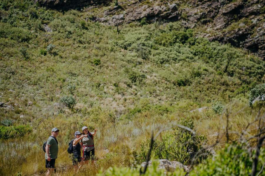 Jonkershoek: Waterfall Hike and 4x4 Safari Ride - Why this hike feels like wellness, not just exercise