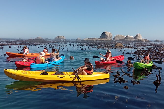 Kayak Adventure at Clifton Beach - Optional mask time: what to expect under the surface