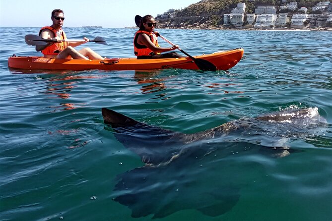 Kayak Adventure at Clifton Beach - Paddling on your own: a confidence boost before heading back