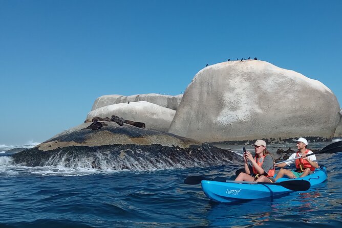 Kayak Adventure at Clifton Beach - Price and value: is $28.86 per person worth it?