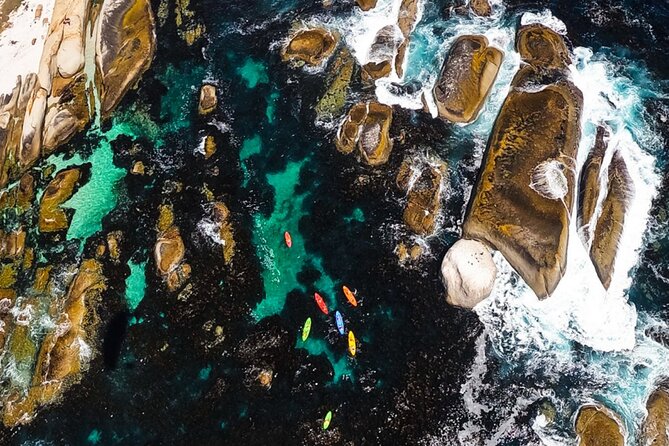 Kayak Adventure at Clifton Beach - What to pack for Clifton kayaking (so the cold doesn’t spoil it)
