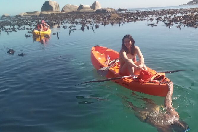 Kayak Adventure at Clifton Beach - From briefing to first strokes: the 90-minute rhythm