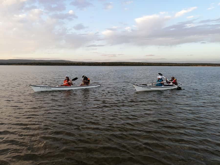 Kayaking Jeffreys Bay - Nature Reserve views and wildlife odds, including flamingos