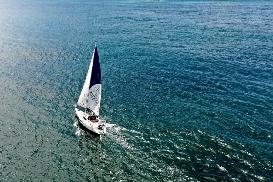 Knysna: 1.5-Hour Sailing Experience - 90 minutes on the water, step by step