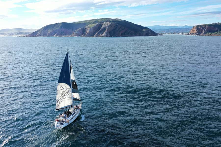Knysna: 1.5-Hour Sailing Experience - Price and value, is $95 per person worth it?