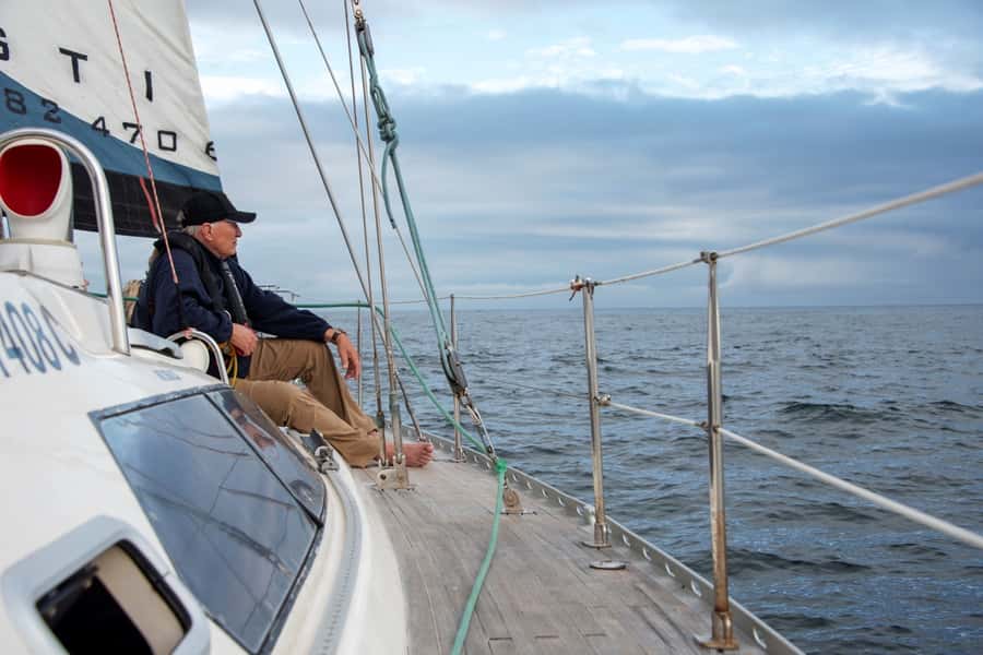 Knysna: 2.5-Hour Day Sail & Lunch Charter - Wildlife and Sights: Dolphins, Birds, and Ocean Energy
