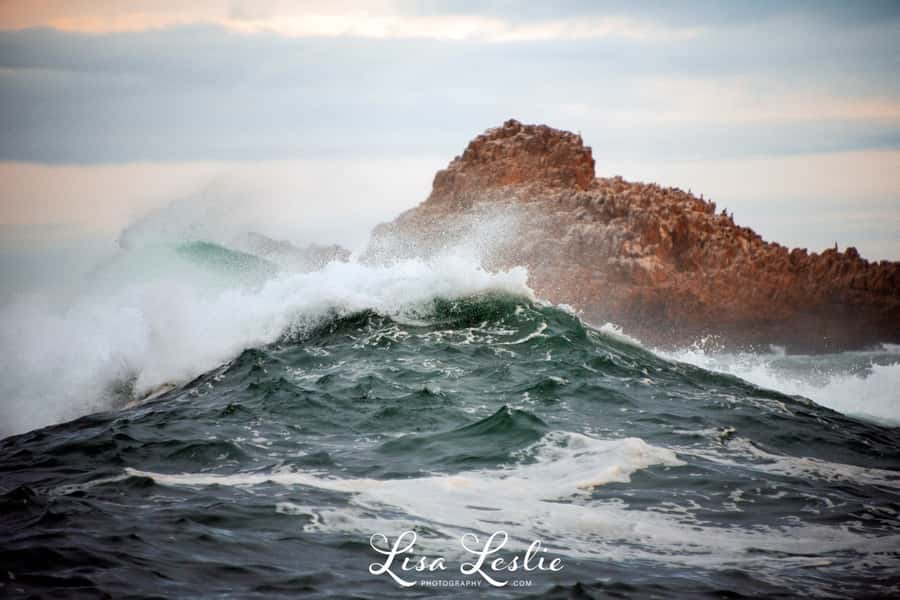 Knysna: 2.5-Hour Day Sail & Lunch Charter - Price and Value at About $143 Per Person
