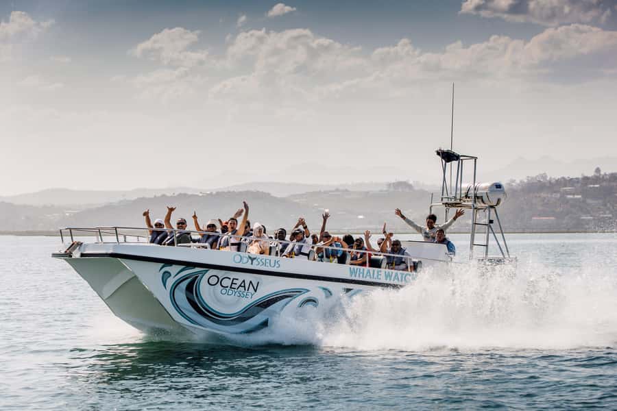 Knysna: Close Encounter Whale Watching Tour by Boat - Key things I’d watch for before you go