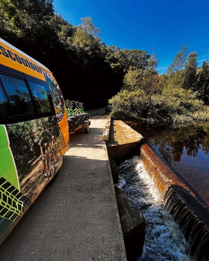 Knysna: Downhill Forest Scootour Adventure - Where the Knysna scootour starts at Thesen Island Harbour Town