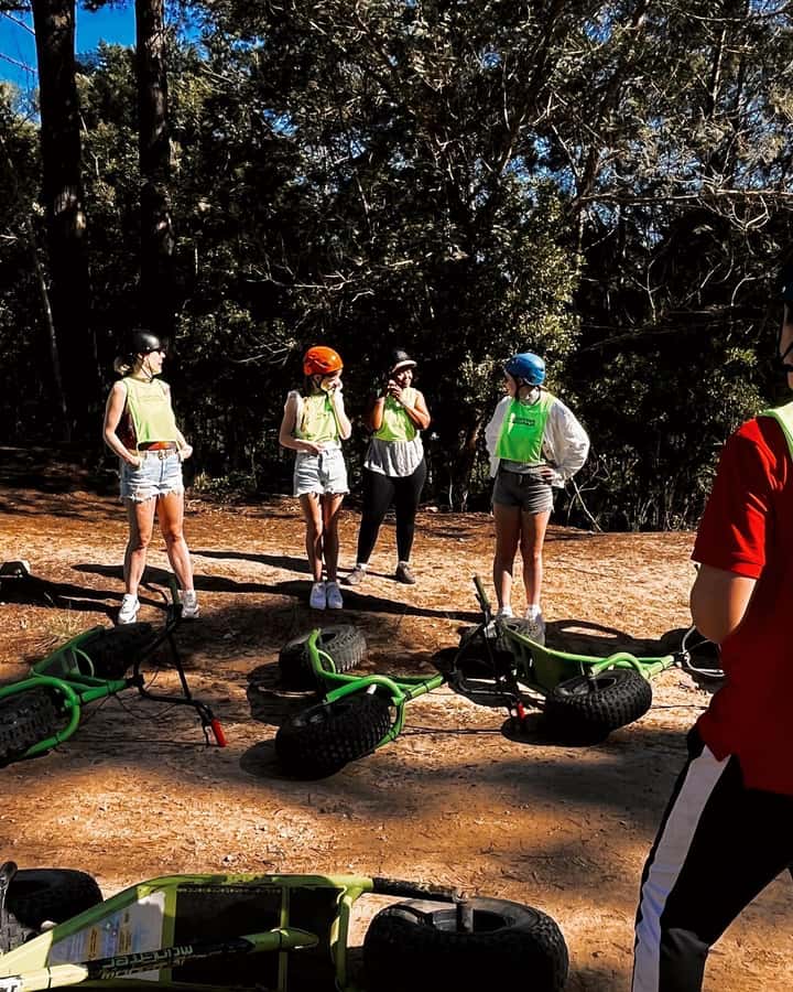 Knysna: Downhill Forest Scootour Adventure - Wildlife on cue in the Knysna forests: loerie, bushbuck, wild boar