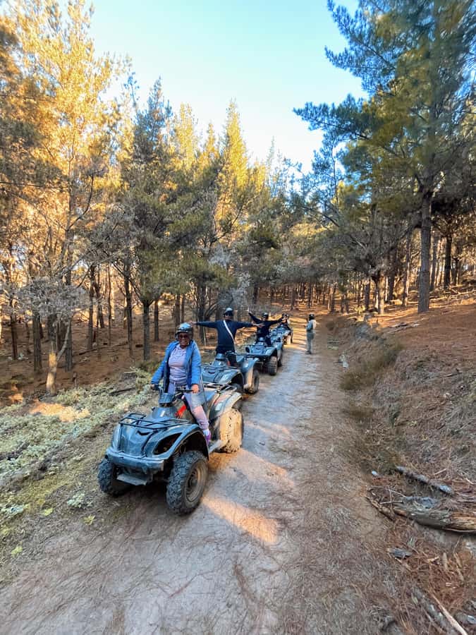 Knysna: Guided Quad Bike Tour in the Forest - Why a guided quad through Knysna Forest feels worth it