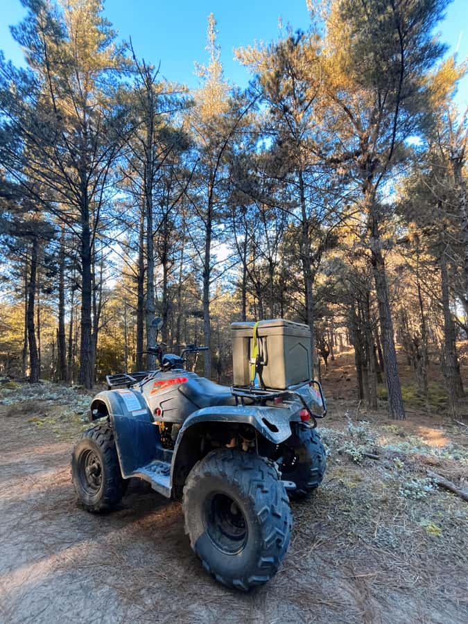 Knysna: Guided Quad Bike Tour in the Forest - Quad bike rules that affect who can ride