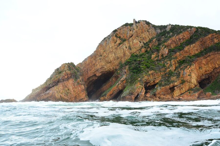 Knysna Heads and Estuary Adventure - The Knysna Estuary: why this waterway deserves your attention