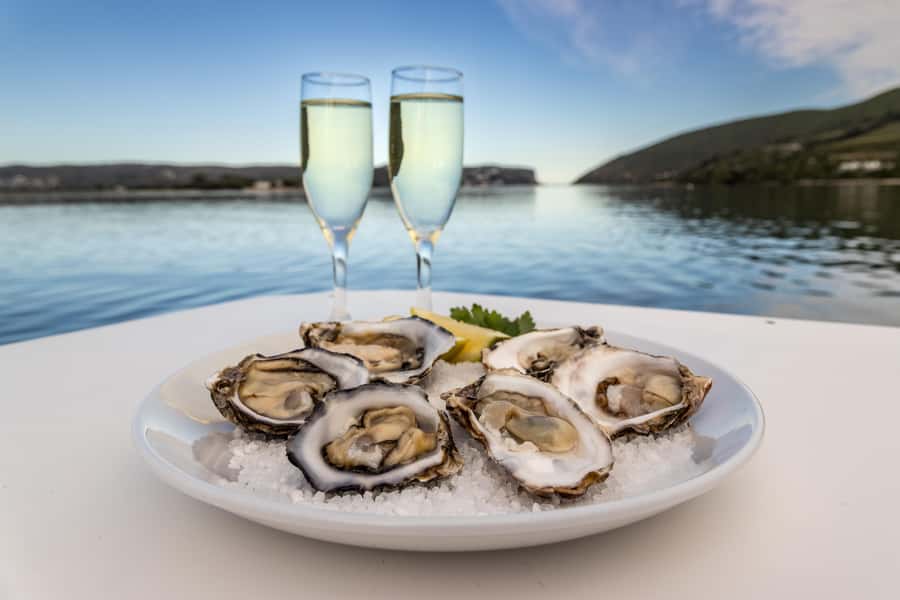 Knysna: Knysna Lagoon Pontoon Boat Cruise - Comfort Tips That Matter on This Kind of Boat Ride