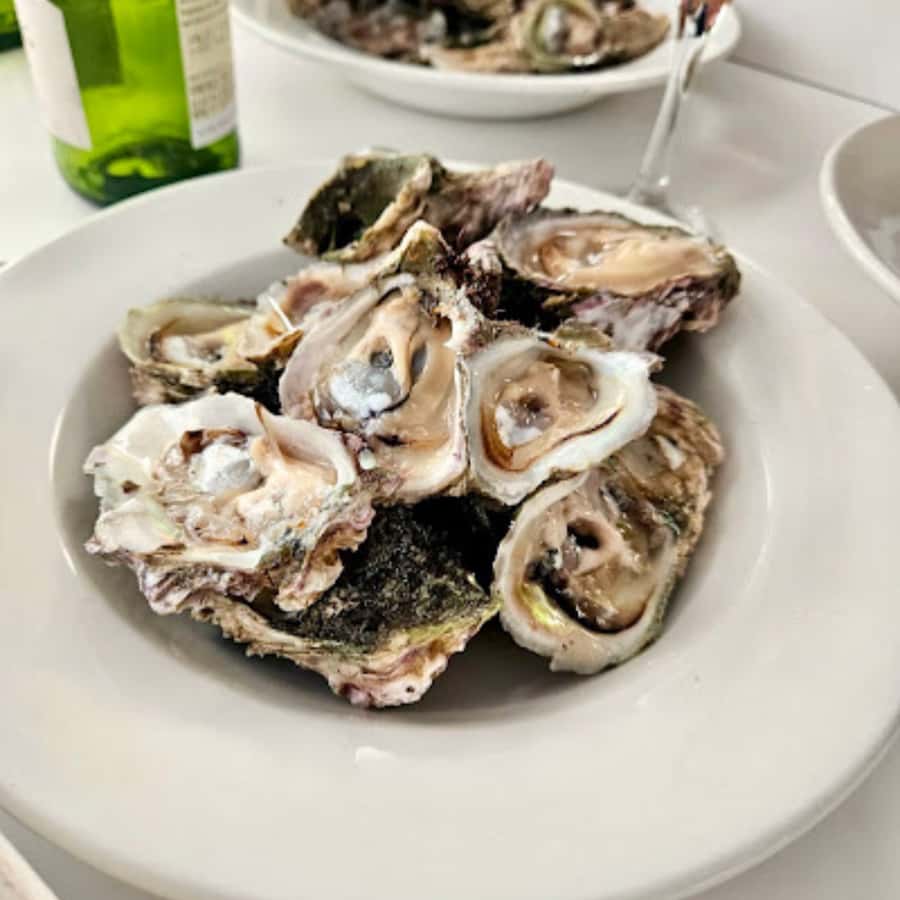 Knysna Lagoon: Boat Cruise with Oyster & White Wine Tasting - Key Things You’ll Notice on This Knysna Lagoon Cruise