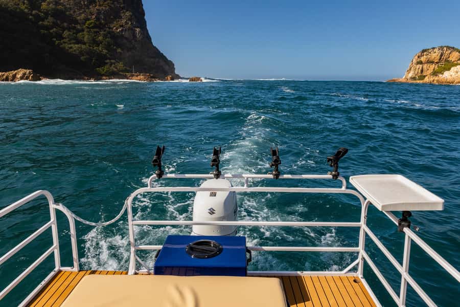 Knysna Lagoon Fishing Charter - Target Species in the Knysna Lagoon: What You Can Aim For