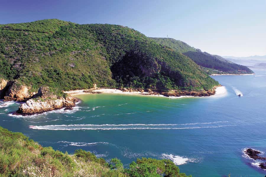 Knysna: Luxury Catamaran Marine Adventure Tour - Key moments to look forward to