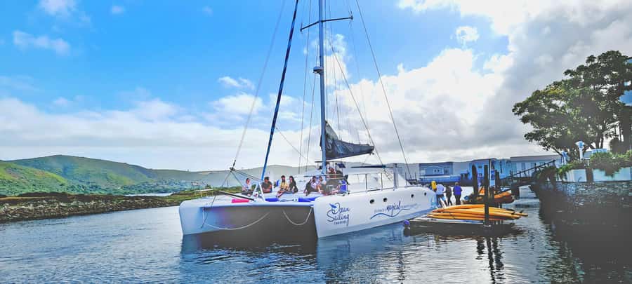 Knysna: Luxury Catamaran Marine Adventure Tour - Should you book the Knysna luxury catamaran?