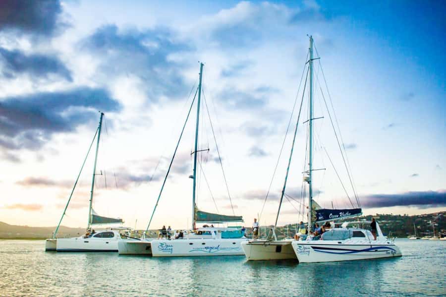 Knysna: Luxury Catamaran Marine Adventure Tour - Knysna Lagoon to open water: the ride starts with big breathing space