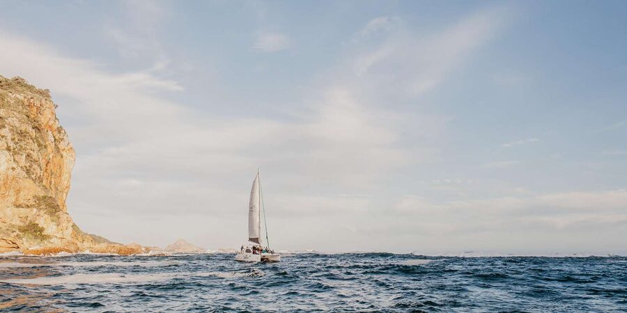 Knysna: Luxury Catamaran Marine Adventure Tour - Marine life spotting: seals and dolphins, plus how to be ready