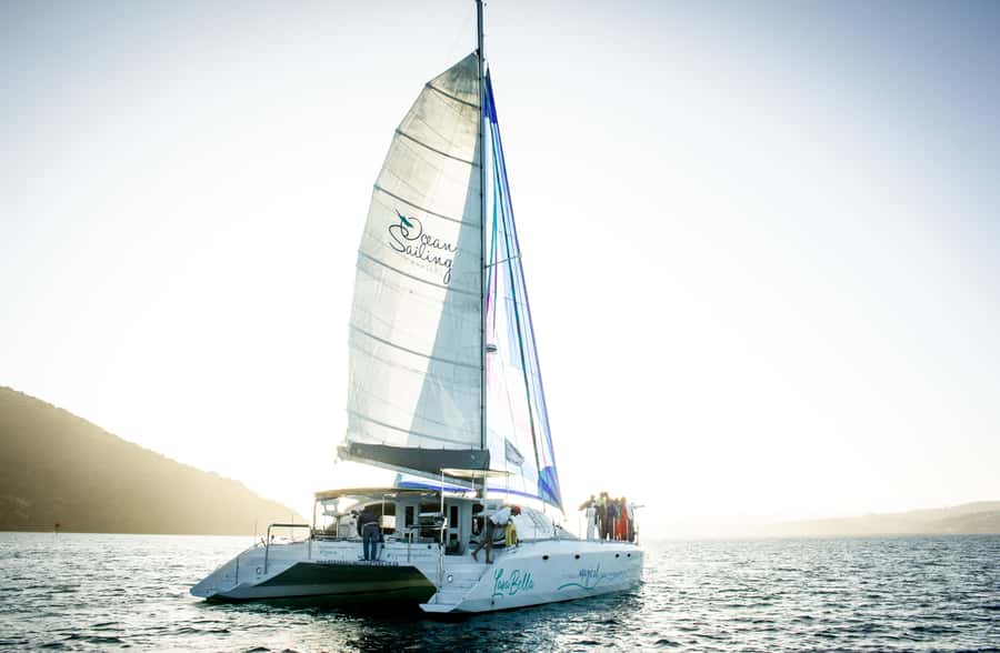 Knysna: Luxury Catamaran Marine Adventure Tour - What you actually get for $84: value in the details