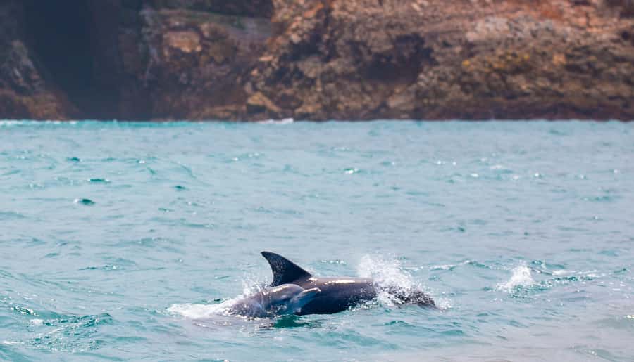 Knysna: Luxury Sunset Cruise with Captain's Barbeque - Drinks and the realistic cost of the onboard bar