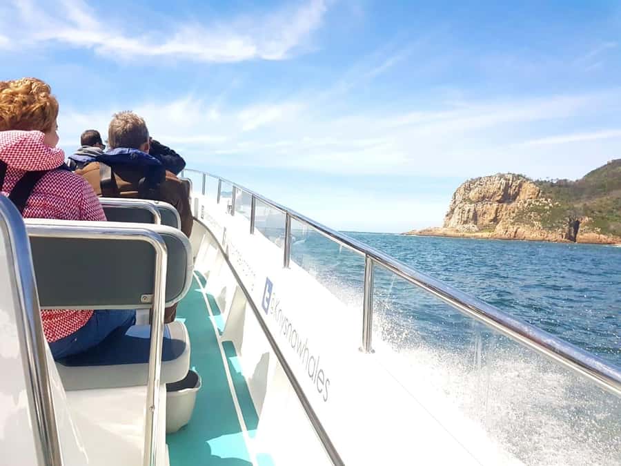 Knysna: Marine Life & Garden Route Coastline Tour - Starting at Thesen Harbour: where the cruise really begins