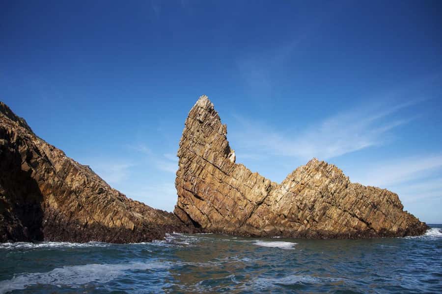 Knysna: Marine Life & Garden Route Coastline Tour - Past the Heads: your best shot at dolphins, seals, penguins, and whales