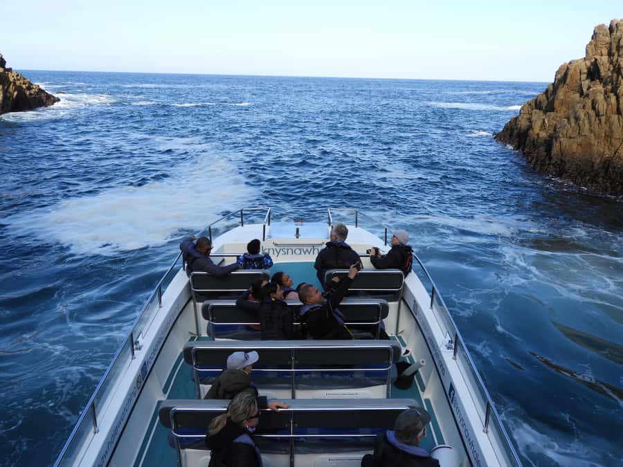 Knysna: Marine Life & Garden Route Coastline Tour - What about cancellations, refunds, and the weather reality check?