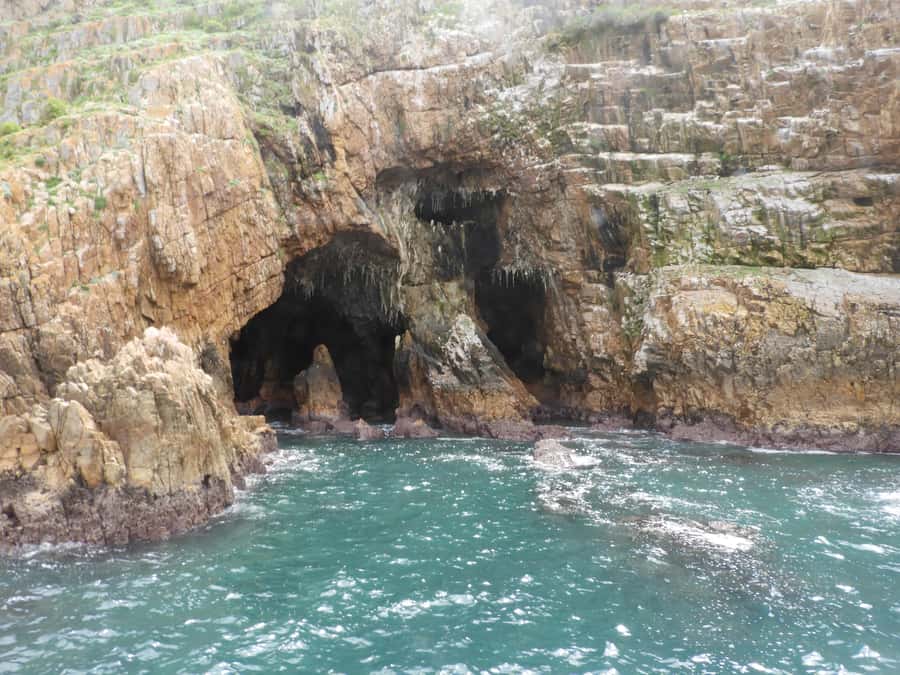 Knysna: Marine Life & Garden Route Coastline Tour - Packing list that keeps you comfortable on a moving deck