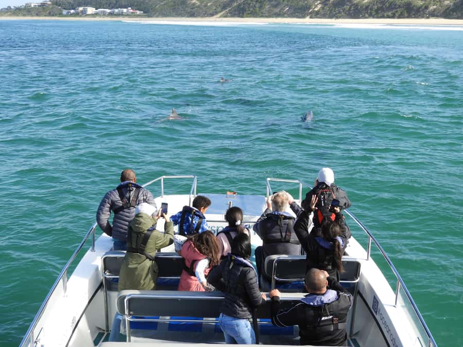 Knysna: Marine Life & Garden Route Coastline Tour - The estuary and Knysna Heads: the coastline’s “why” before the “what”