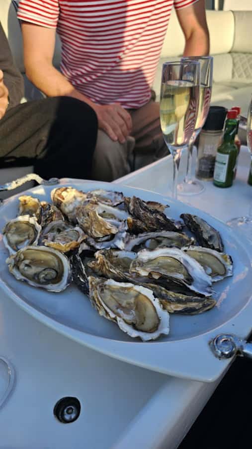 Knysna: Wine & Oyster Luxury Lounger Sunset Cruise - Getting There: Thesen Island Jetty and the 23 Sawtooth Ln Start