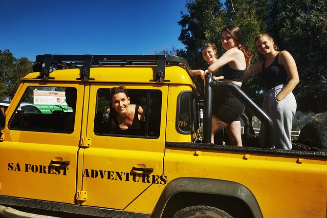 Knysna Ziplines Tour - Price and value: what $48.89 really buys you