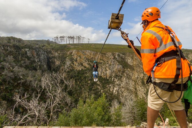 Knysna Ziplines Tour - Who should book Knysna Ziplines, and who should reconsider