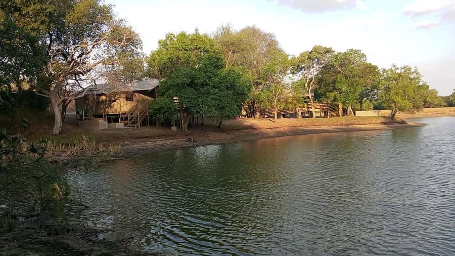 Kruger National Park: 3 Day Safari Tour - Should You Book It?