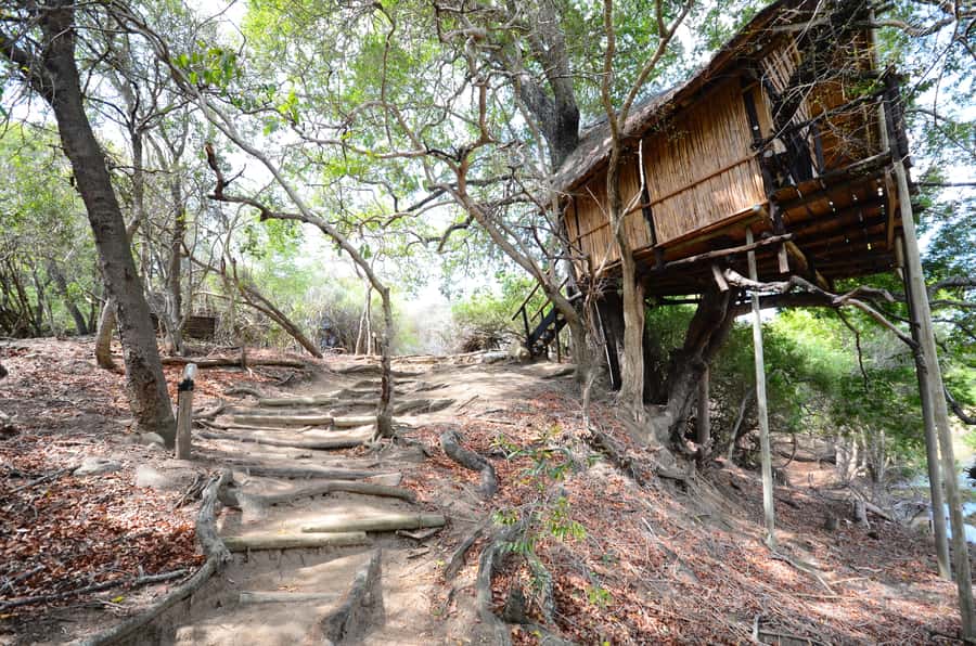 Kruger National Park: 3-Day Safari Tour and Treehouse Stay - Key Things That Make This Kruger Safari Different