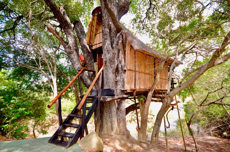 Kruger National Park: 3-Day Safari Tour and Treehouse Stay - Day 1: Johannesburg to Balule Sunset Drive, Then Marula Tree Boma Bush BBQ