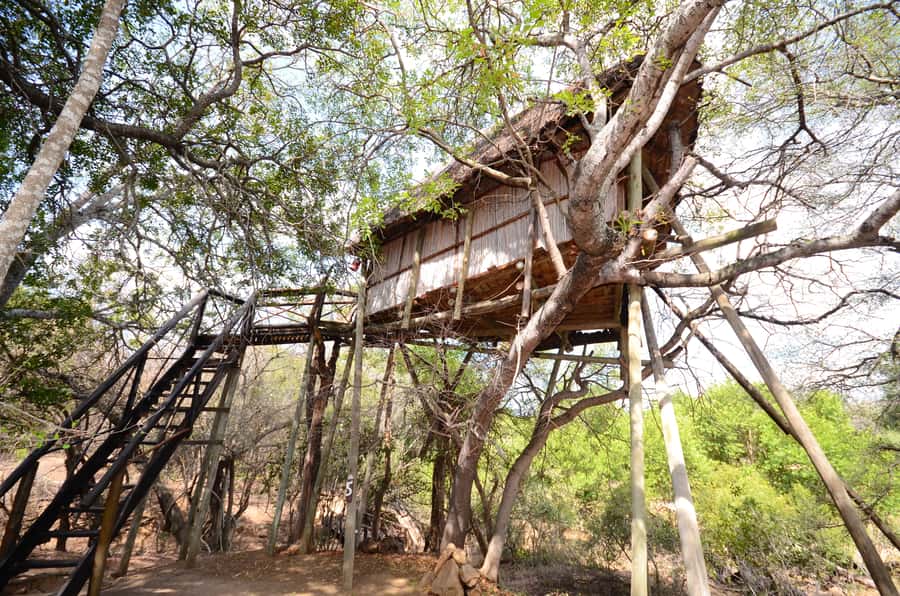 Kruger National Park: 3-Day Safari Tour and Treehouse Stay - Treehouse-Style Lodging Reality Check, From Simple to Problematic