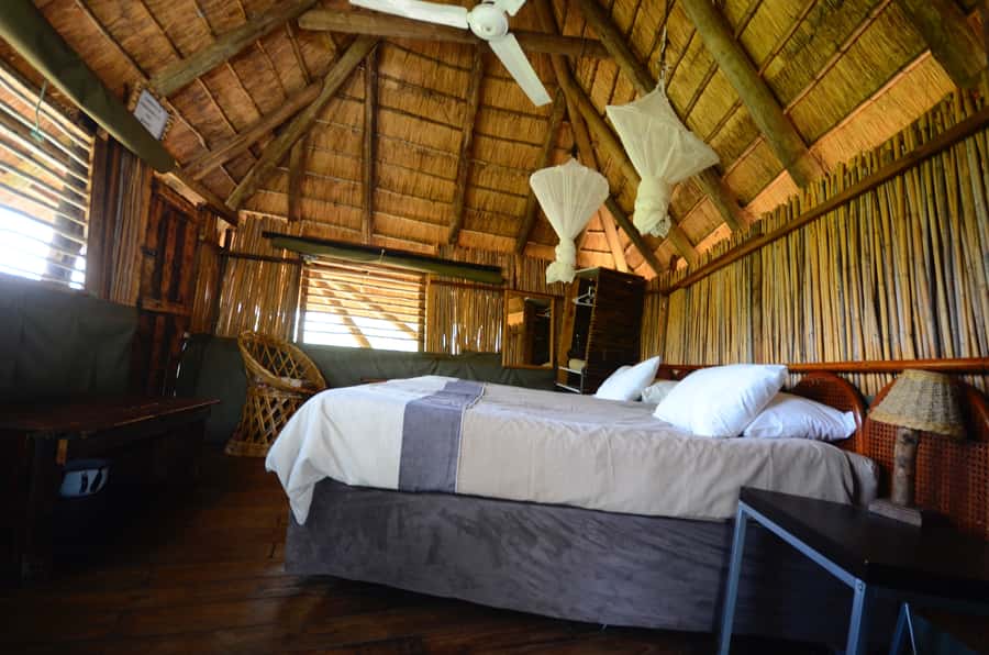 Kruger National Park: 3-Day Safari Tour and Treehouse Stay - How to Get the Most From a Small-Group Kruger Safari (and Avoid Common Friction)