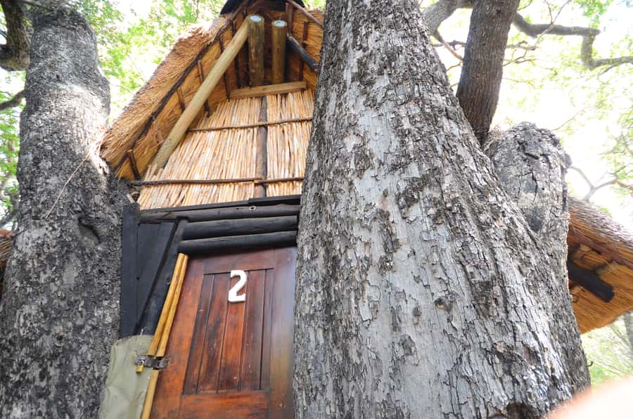 Kruger National Park: 3-Day Safari Tour and Treehouse Stay - Should You Book This 3-Day Kruger Safari with a Treehouse Stay?