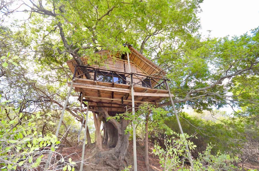 Kruger National Park: 3-Day Safari Tour and Treehouse Stay - Day 2: Open Gameviewer in Kruger’s Orpen Area, Plus Marc’s Treehouse-Style Stay