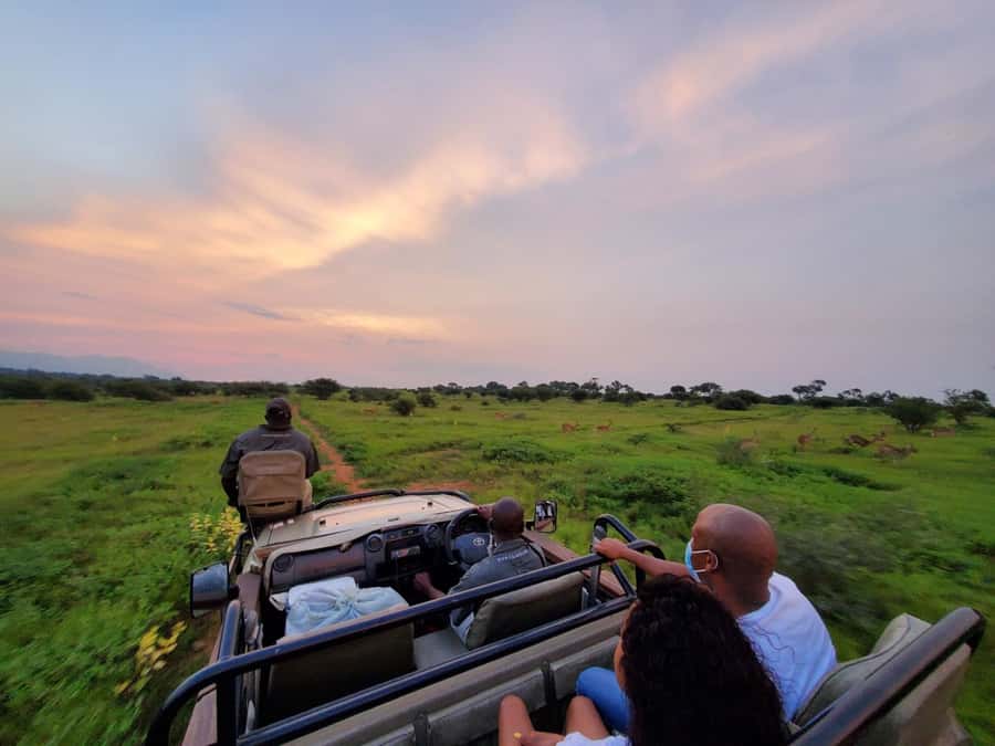 Kruger National Park: 3 Day Safari Tour - Day 1: Johannesburg to Hoedspruit, Then a Private Reserve Sunset Drive