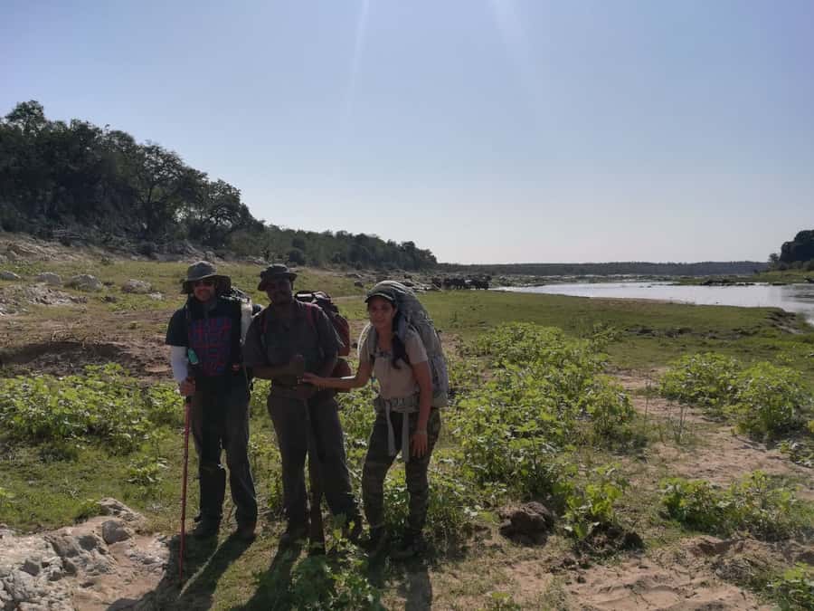 Kruger National Park: 3-Hour Walking Safari - Key things to know before you go