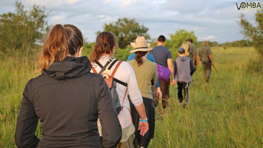 Kruger National Park: 3-Hour Walking Safari - Reading the African bush: rhinos, elephants, lions, and signs