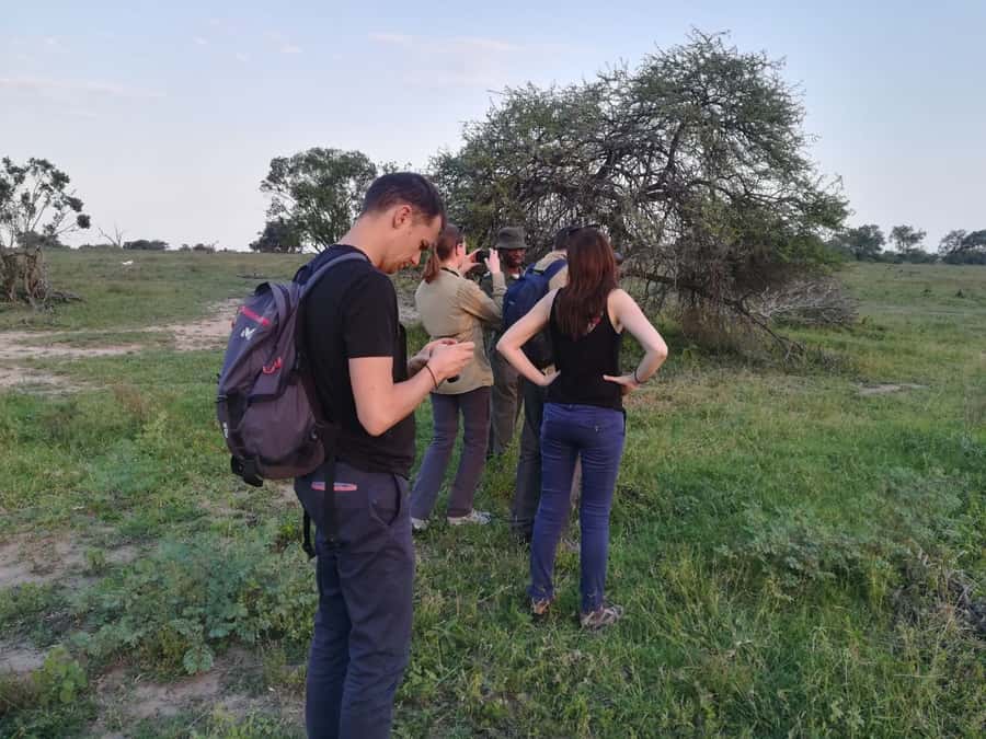 Kruger National Park: 3-Hour Walking Safari - Touching plants, learning medicinal uses, and staying curious