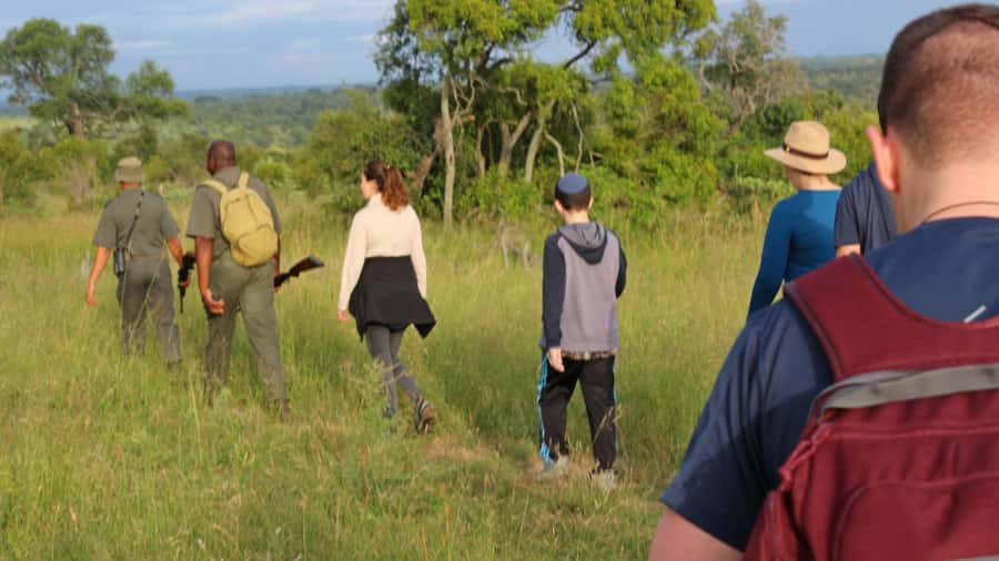 Kruger National Park: 3-Hour Walking Safari - Small group size: why max 8 makes a difference