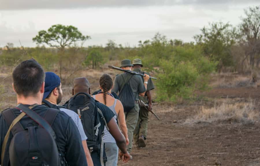 Kruger National Park: 3-Hour Walking Safari - Price and value: is $138 fair for a walking safari?