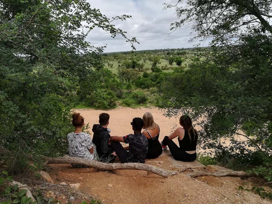 Kruger National Park - 4 Day Safari Tour - Key highlights worth planning for