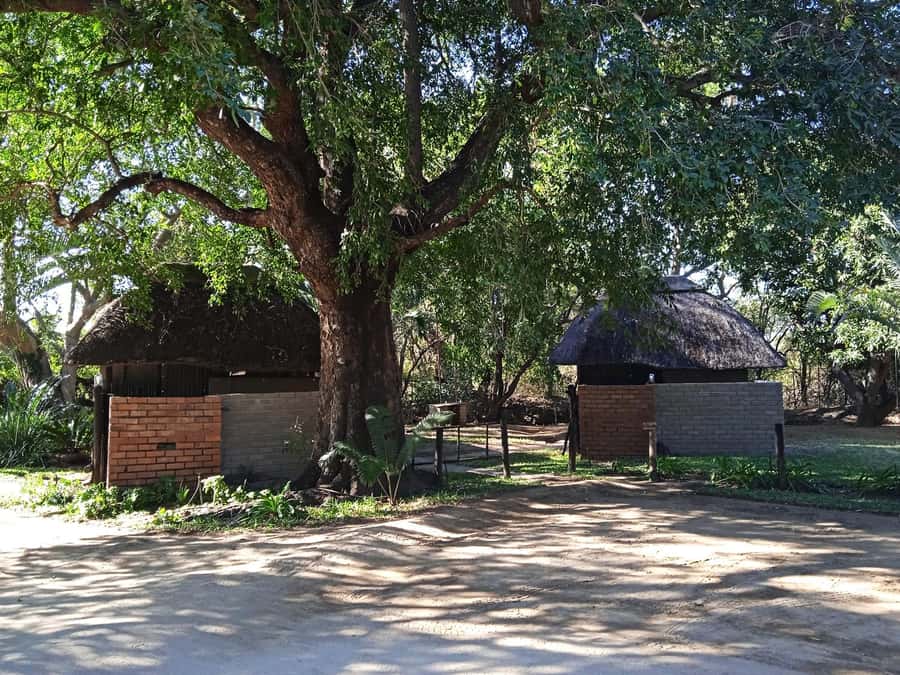 Kruger National Park - 4 Day Safari Tour - Price and value: what your $946 is really paying for
